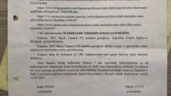 Yalan Haber Yapmakla bilinen DİLEK YAMAN DEMİR e Mahkemeden Tokat gibi Cevap