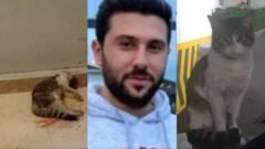 KEDİYİ KOVALAYIP, TEKMELEYEREK ÖLDÜRDÜ