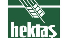 Hektaş’ın kredi derecelendirme notları