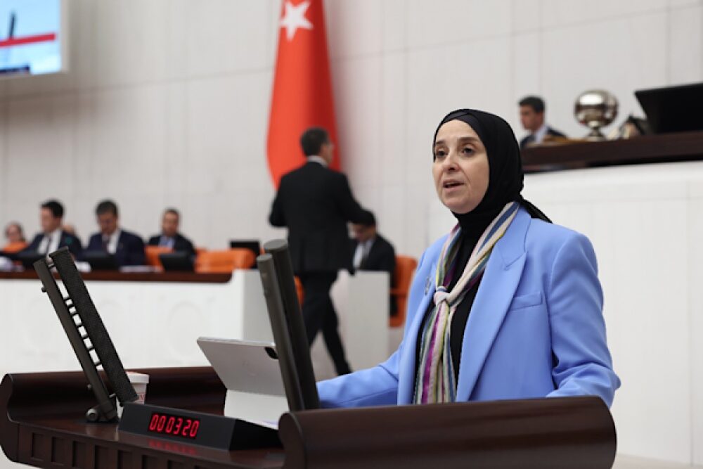DEVA Partili Esen: Denetimde bağımsızlık ve şeffaflık gerekli
