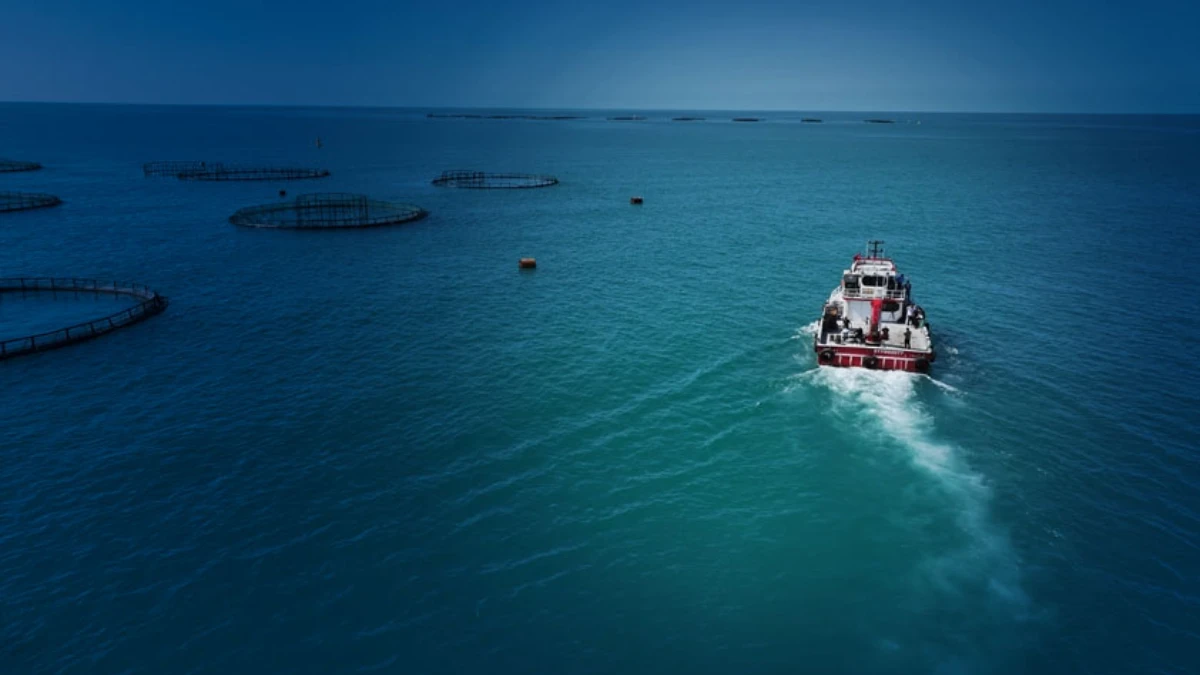 2025'te balık&ccedil;ılık sekt&ouml;r&uuml;nden tarihi rekor