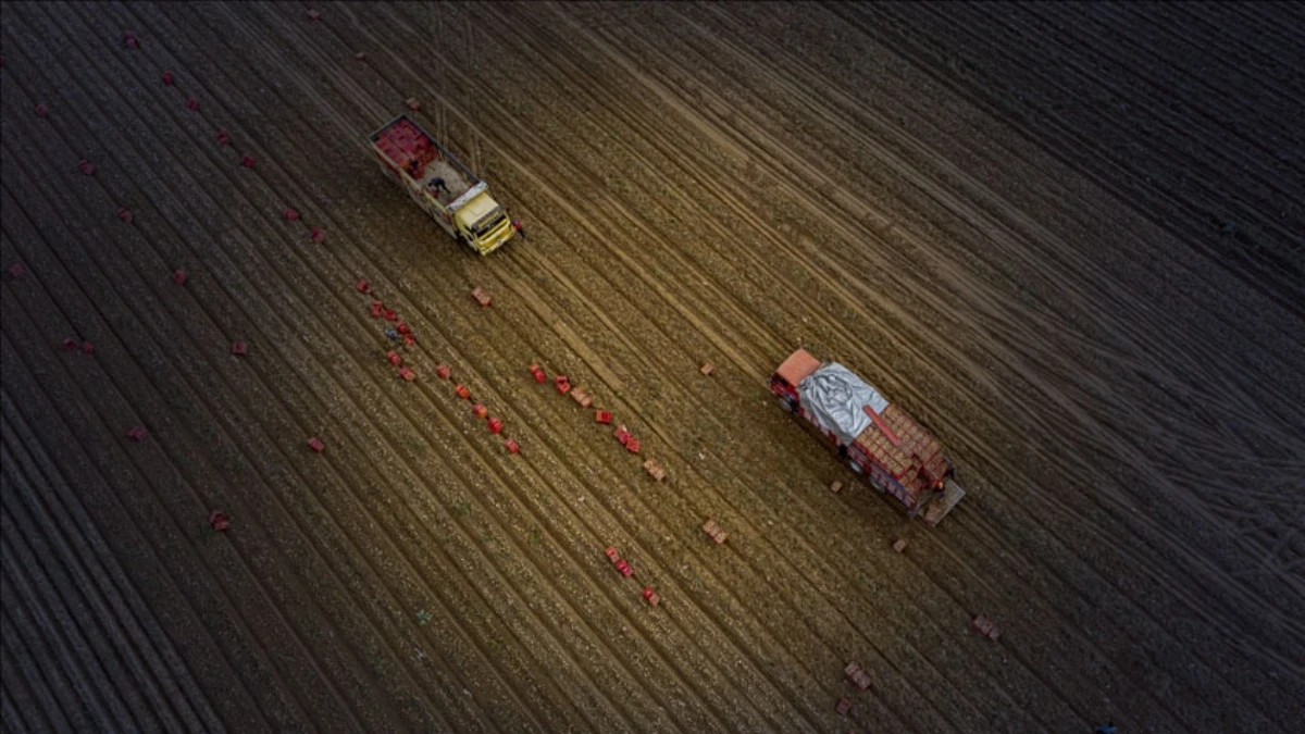 Tarım sezonuna kurak başlangı&ccedil;: Yağışlar y&uuml;zde 19 azaldı