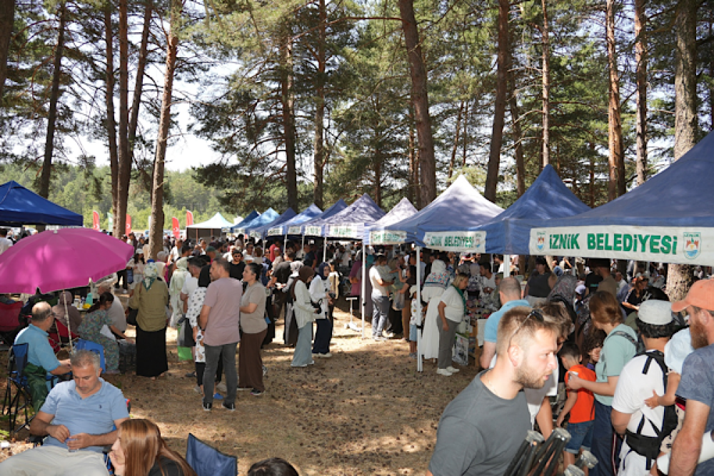 İznik&rsquo;te 5. Maviyemiş Festivali d&uuml;zenlendi