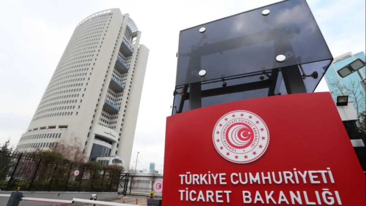 Dış ticaret sermaye şirketleri artıyor: Sayı 103'e ulaştı