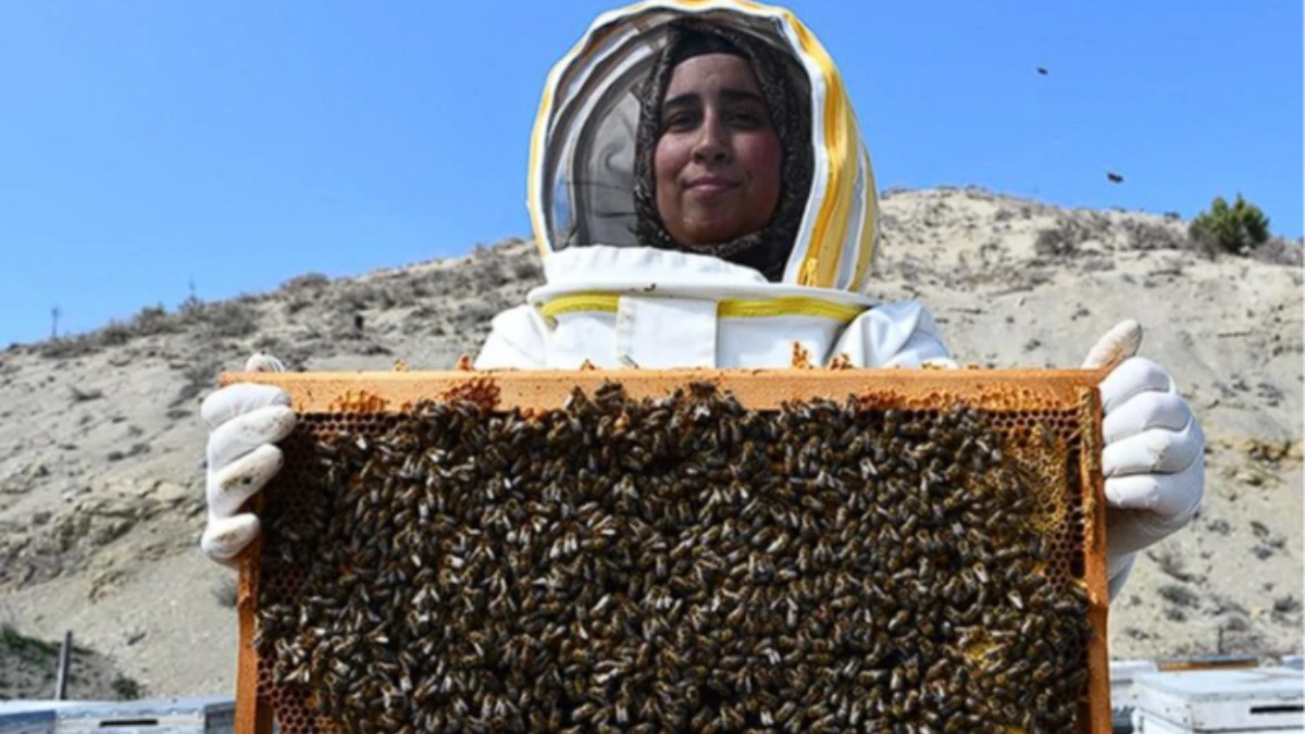 Kadın arıcıdan 3 ilde &uuml;retim: 4 &ccedil;eşit bal elde ediyor