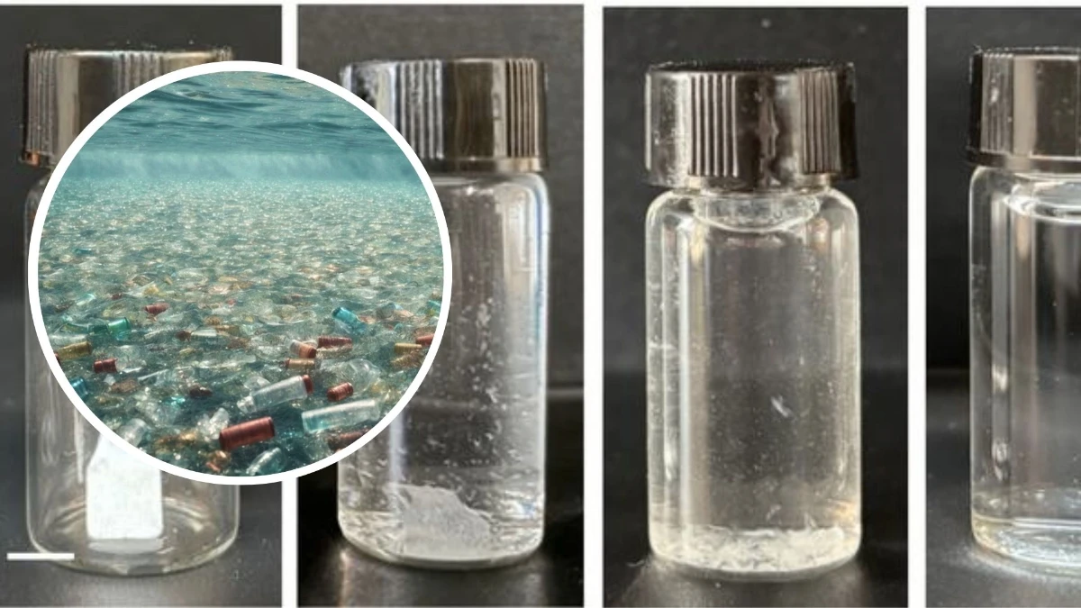 Kendi kendini imha eden canlı plastik geliştirildi