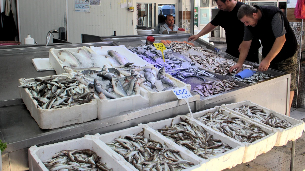 Balık&ccedil;ılıkta geri sayım: Av yasağına son 9 g&uuml;n! Tezgahlarda haraketlilik var