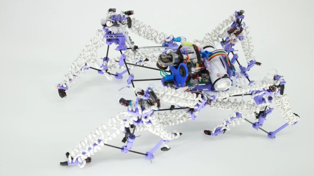 Havayla &ccedil;alışan, kendi ağırlığının 100 katını kaldıran yapay kas geliştirildi