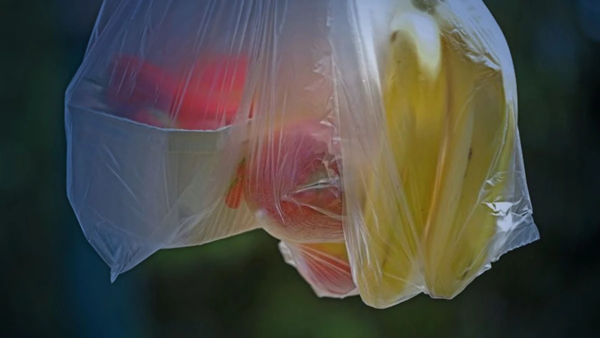 Sıfır Atık hedefinde &ouml;nemli eşik: Plastik poşet uygulaması ile 2,8 milyon ton atığın oluşumunu engelledi