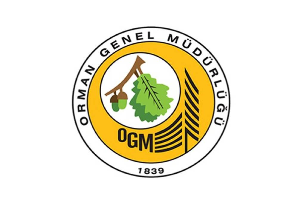 OGM: Muğla Menteşe'deki yangın b&uuml;y&uuml;k &ouml;l&ccedil;&uuml;de kontrol altında