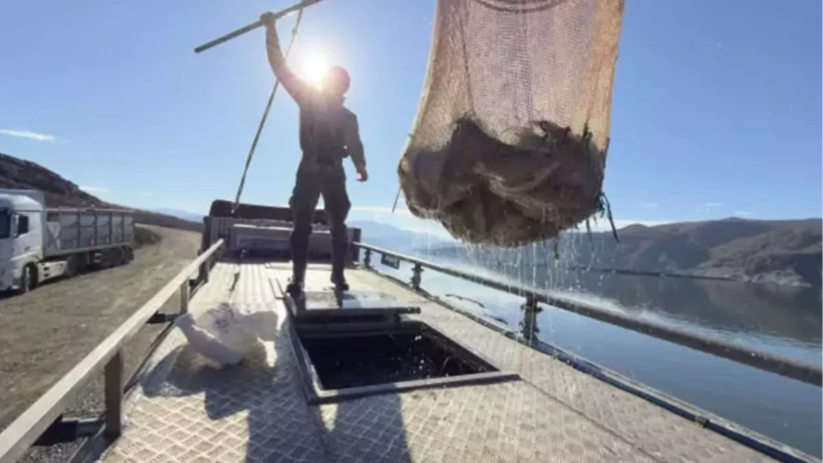 Denizi olmayan Tokat’tan Japonya ve Avrupa’ya Türk somonu ihracatı