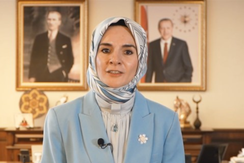 Bakan Göktaş, Bakan Hanko ile görüşü