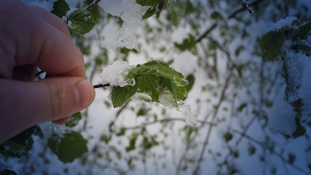 Meteorolojiden 40 ile sarı kodlu uyarı: Zirai don ve kuvvetli yağış geliyor