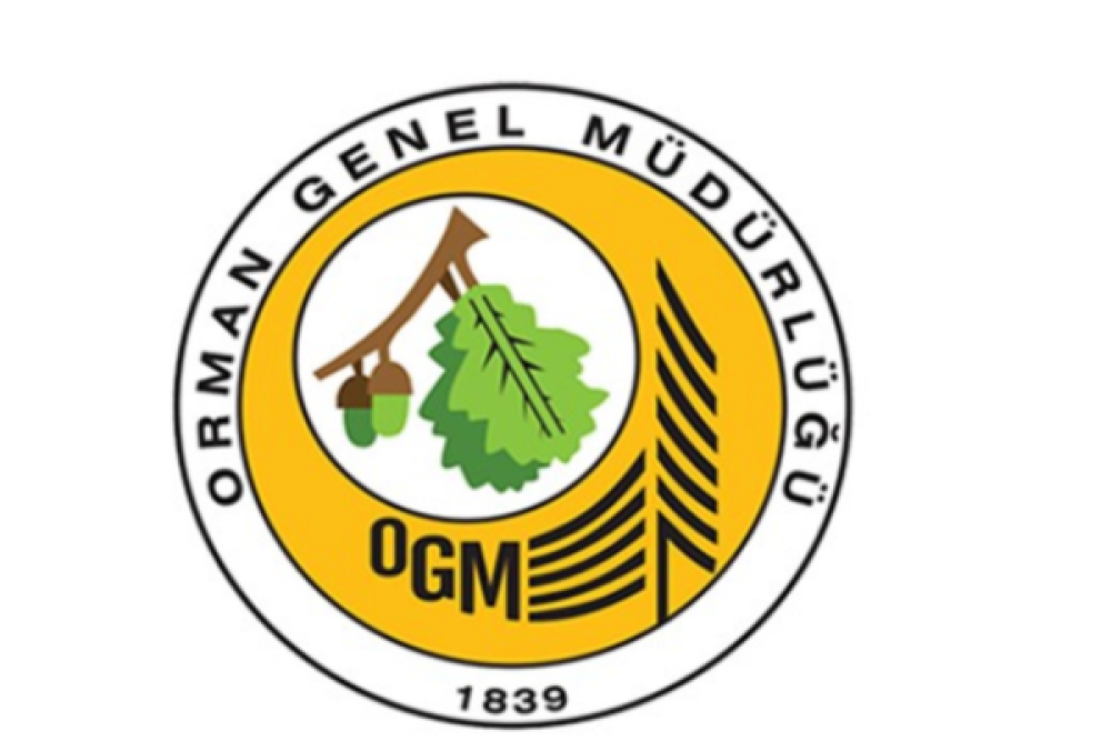 OGM: Antalya ve Adana&rsquo;da yangınlarla m&uuml;cadele s&uuml;r&uuml;yor