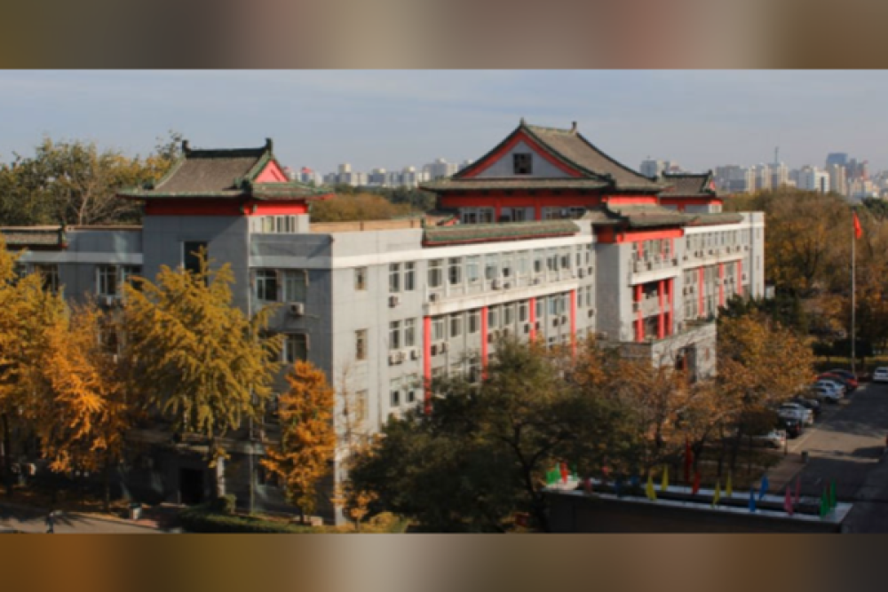 BM raporu: Küresel ticaret zorda, Çin istikrar sağlıyor