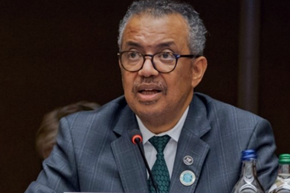 Ghebreyesus: Visseral leishmaniasis vakaları 10 yılda y&uuml;zde 58 azaldı