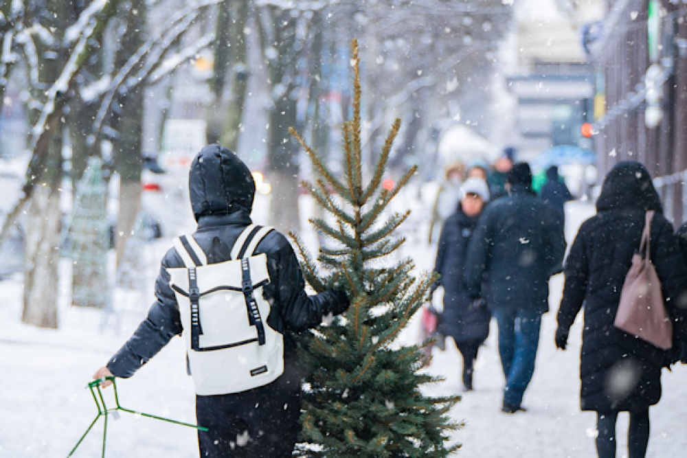 Sivas'ta eğitime 1 g&uuml;n ara verildi