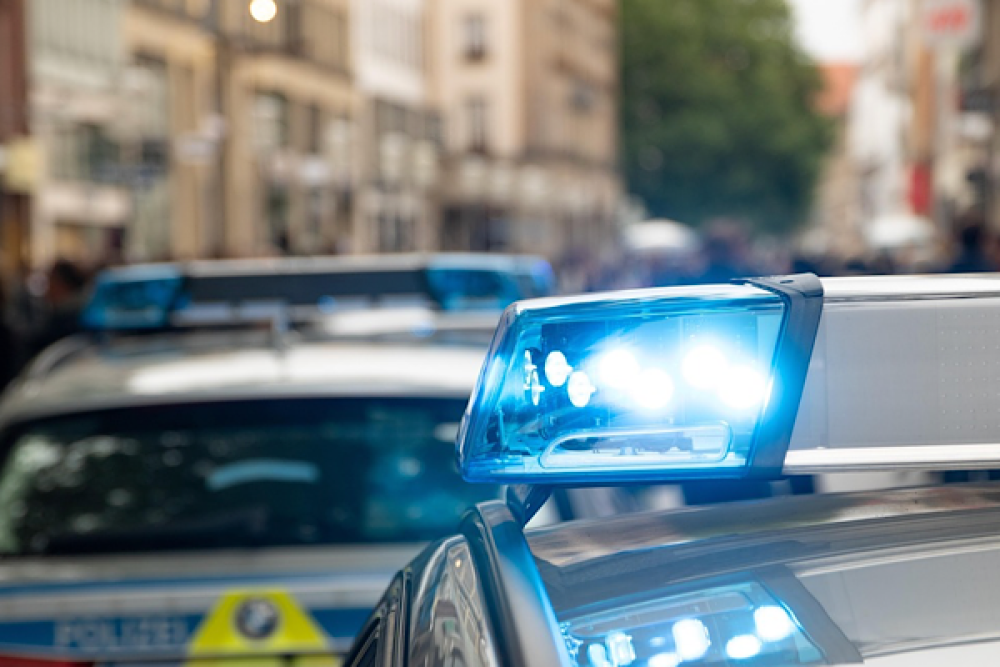 12 ilde 15 organize su&ccedil; &ouml;rg&uuml;t&uuml;ne operasyon