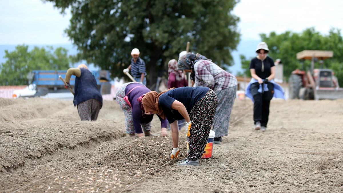 Tarımsal destek &ouml;demesinin yapılacağı g&uuml;n netleşti