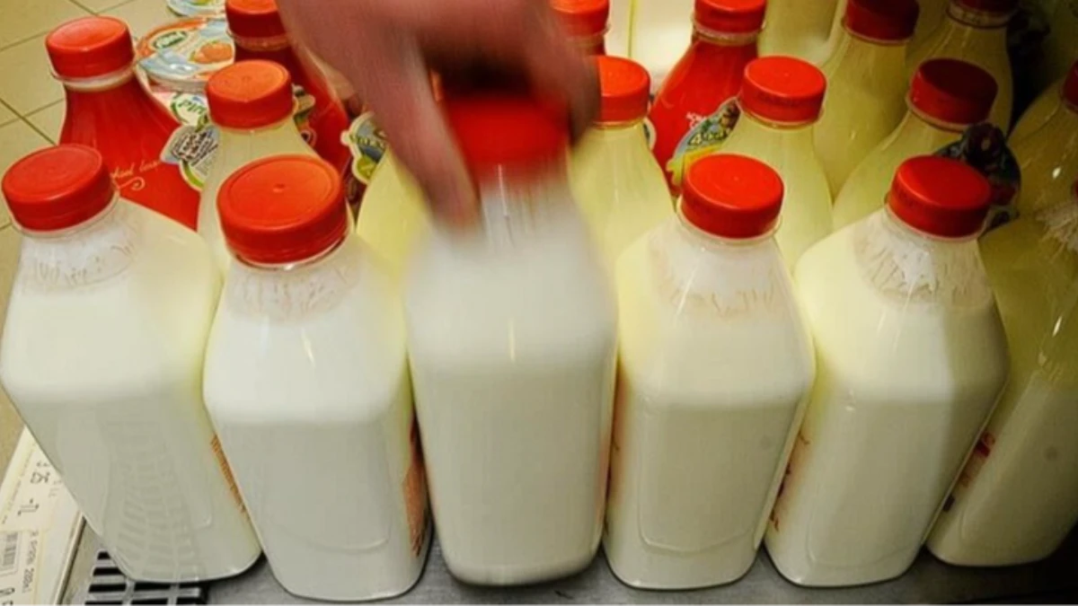 Ayran, kefir ve yoğurt &uuml;retiminde 4 aylık rekor