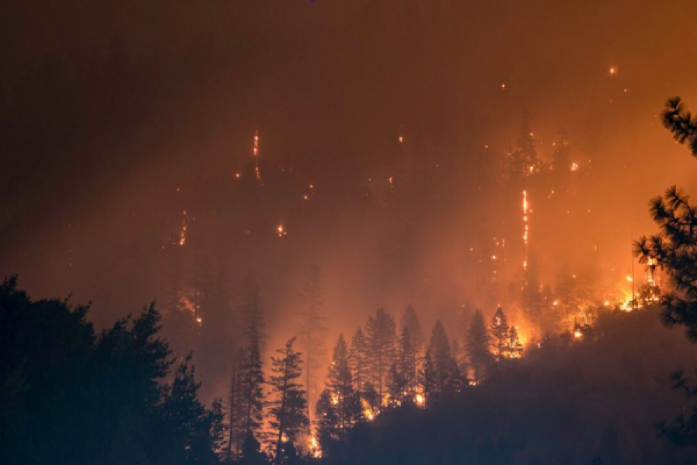 2025, kayıtlara ge&ccedil;en en sıcak &uuml;&ccedil;&uuml;nc&uuml; yıl oldu