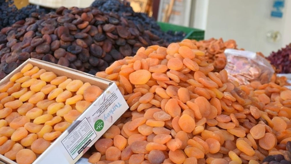 Malatya ihracatında zorlu yıl: Deprem ve don etkisiyle gelir 335 milyon dolara geriledi