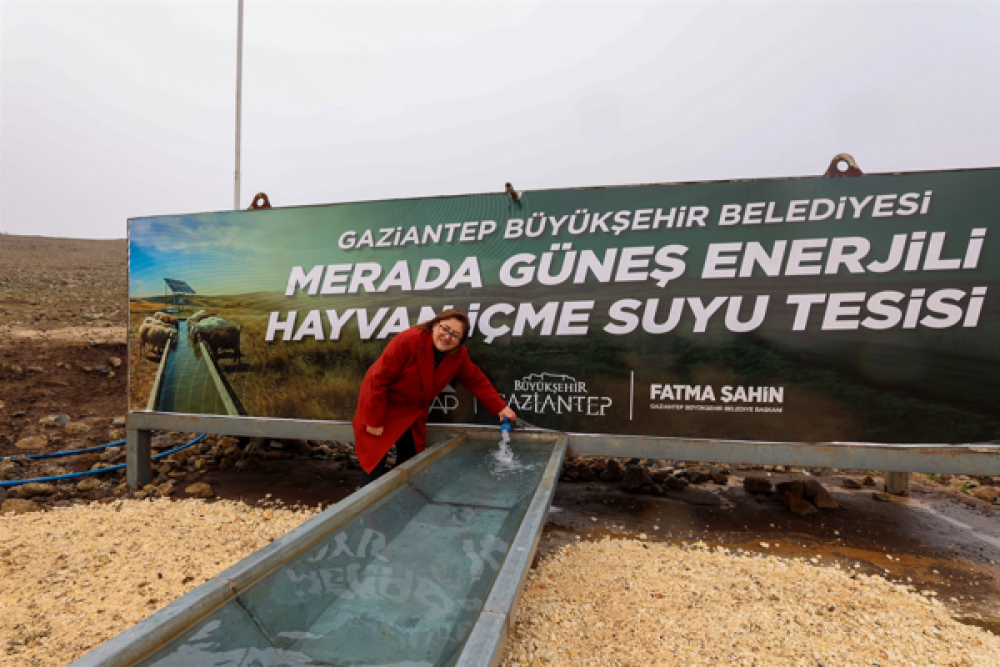 &ldquo;Merada Hayvanlar Refah İ&ccedil;inde Suyla Buluşuyor Projesi&rdquo; kapsamında destekler s&uuml;r&uuml;yor