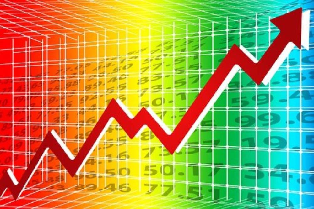 Net Holding&rsquo;den pay geri alımı