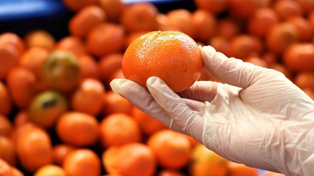 Turun&ccedil;gil ihracatı y&uuml;zde 61 arttı