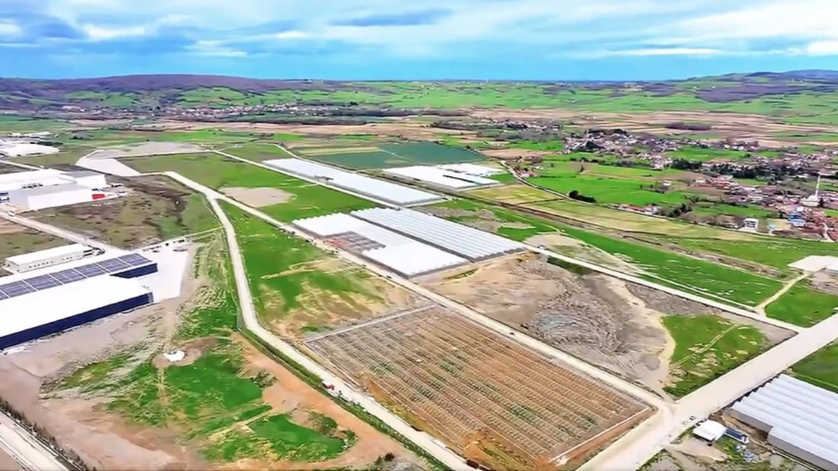 Hibe desteğiyle yapıldı! Organize Tarım B&ouml;lgesi'nden ekonomiye yıllık 1,5 milyar lira katkı