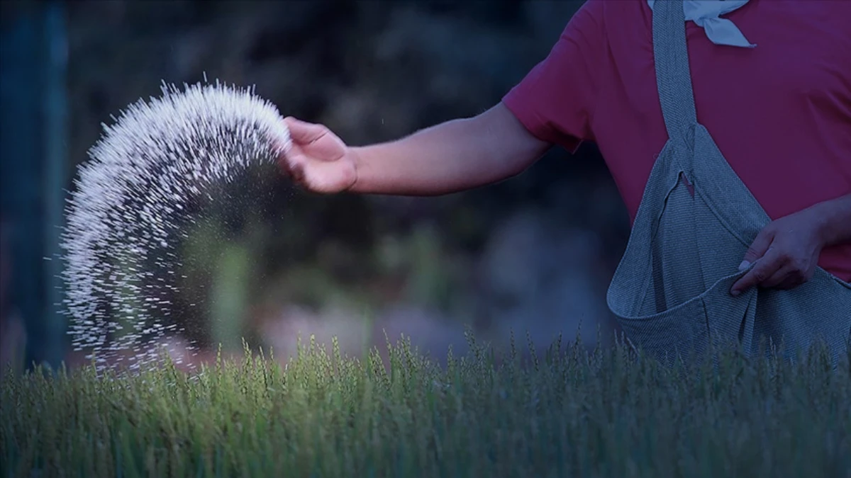 Rusya'dan g&uuml;bre kararı: İhracat kısıtlamasını yıl sonuna uzattı
