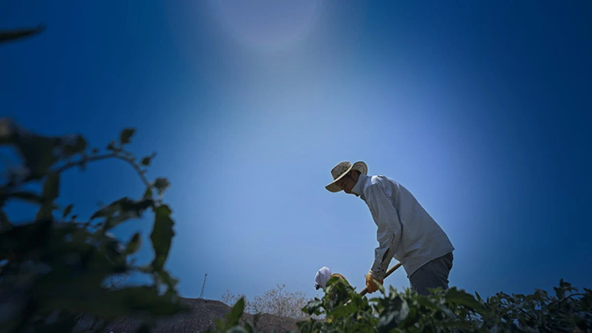 D&uuml;nya Meteoroloji &Ouml;rg&uuml;t&uuml; uyardı: 1 milyardan fazla kişinin ge&ccedil;im kaynağı tehdit altında