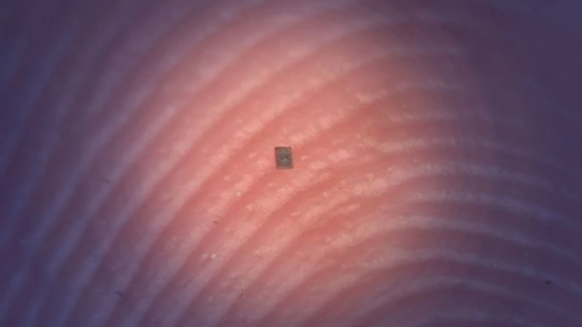 D&uuml;nyanın en k&uuml;&ccedil;&uuml;k robotu: Kendi beyni, hafızası ve sens&ouml;r&uuml; var