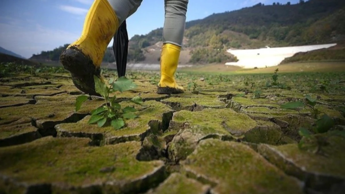 D&uuml;nyada &ccedil;evre alanında 2025 b&ouml;yle ge&ccedil;ti