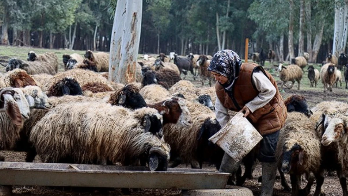 Depremzede &uuml;niversiteli kadına devlet desteği: S&uuml;r&uuml;s&uuml;n&uuml; 2 katına &ccedil;ıkardı