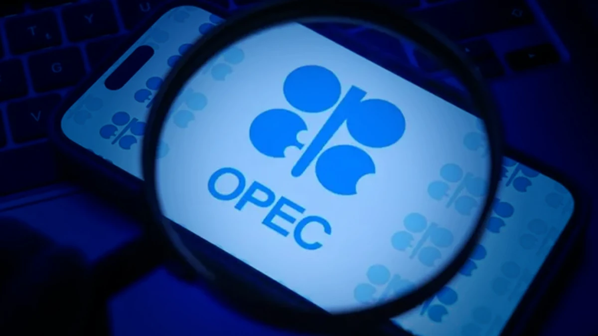 K&ouml;rfez'de b&uuml;y&uuml;k &ccedil;atlak: BAE, OPEC'ten &ccedil;ekileceğini ilan etti