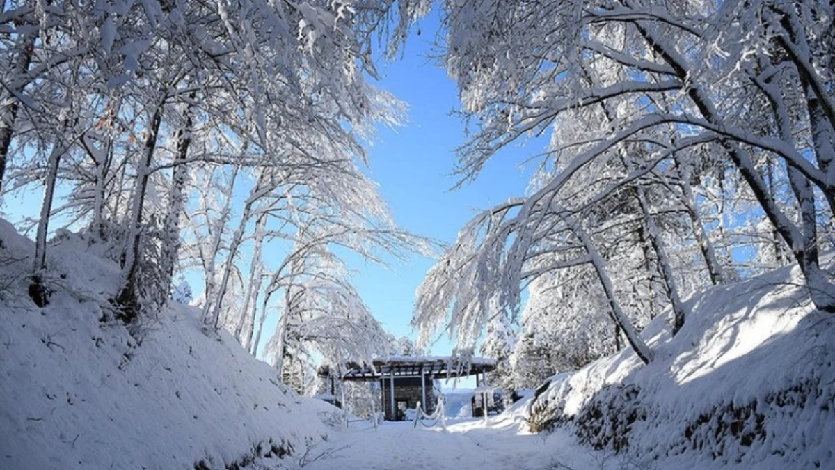 D&uuml;zce Korug&ouml;l Tabiat Parkı karla kaplandı