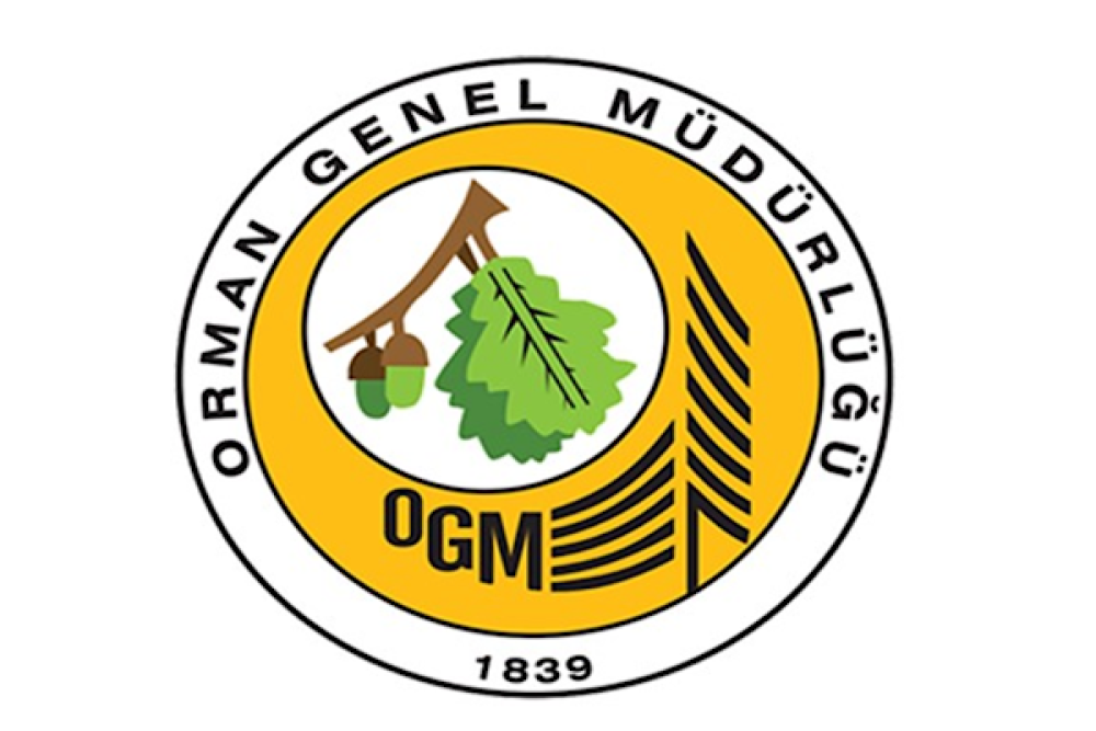 OGM, Seydikemer&rsquo;deki yangına havadan ve karadan m&uuml;dahale ediyor