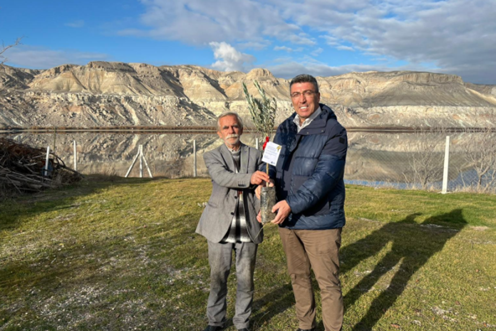 Eskişehir&rsquo;de &uuml;reticilere mavi sertifikalı zeytin fidanı dağıtıldı