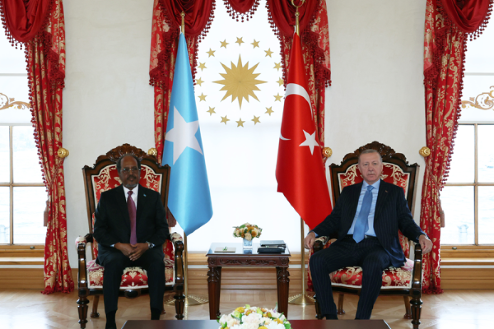 Cumhurbaşkanı Erdoğan, Somali Cumhurbaşkanı Mahmud ile g&ouml;r&uuml;şt&uuml; 