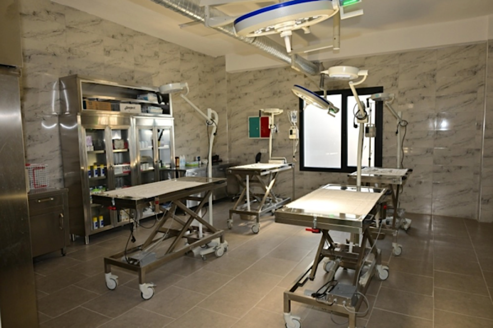 Şehzadeler&rsquo;deki hayvan barınma alanı kapatılıyor