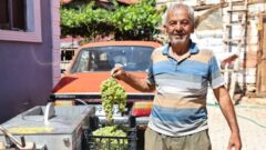 Antalya Büyükşehir’den Elmalı’daki üzüm üreticilerine makine desteği