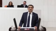 Ekmen: Devletin görevi yatırımcıya kazanç garantisi vermek değildir