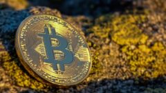 Kripto para piyasasında Bitcoin yükseldi, BNB ve XRP geriledi
