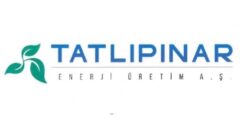 Tatlıpınar Enerji’nin TEİAŞ davası