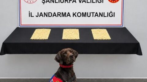 Şanlıurfa’da uyuşturucu operasyonu: 2 bin 970 Captagon hap ele geçirildi