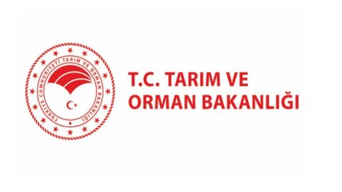 Türkiye, su yönetimi vizyonunu Kahire Su Haftası’nda paylaştı