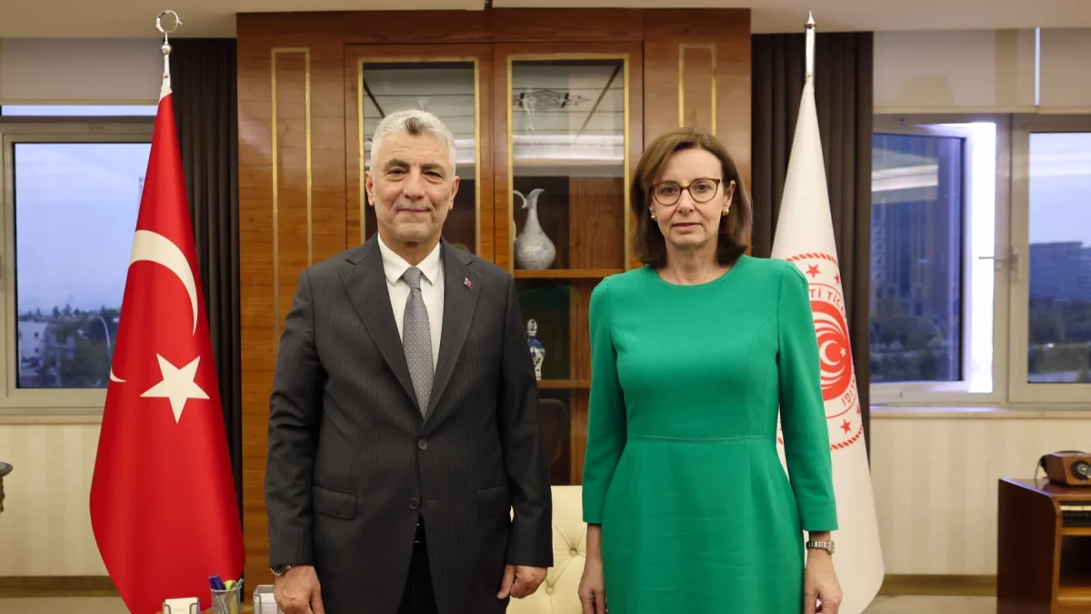 Bakan Bolat, İngiltere Büyükelçisi Anderson’ı kabul etti